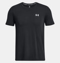 Black Swell -  Training T-shirt